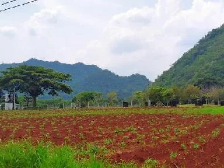 ที่ดินปากช่อง เขาใหญ่ 3ไร่ ติดถนนสาธารณะ น้ำ ไฟพร้อม โฉนด วิวภูเขาล้อมรอบ