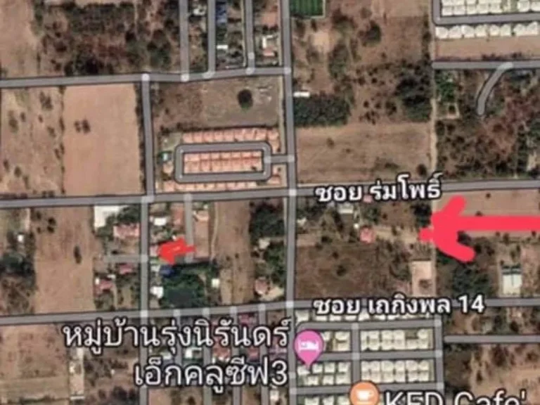 ขายที่ดิน 233 ตรว ติดถนนคอนกรีต ตสุรนารี อเมือง จนครราชสีมา ขาย ตรวละ 20000บาท เหมาะสร้างบ้าน ใกล้ สนาม 80 พรรษา ใ