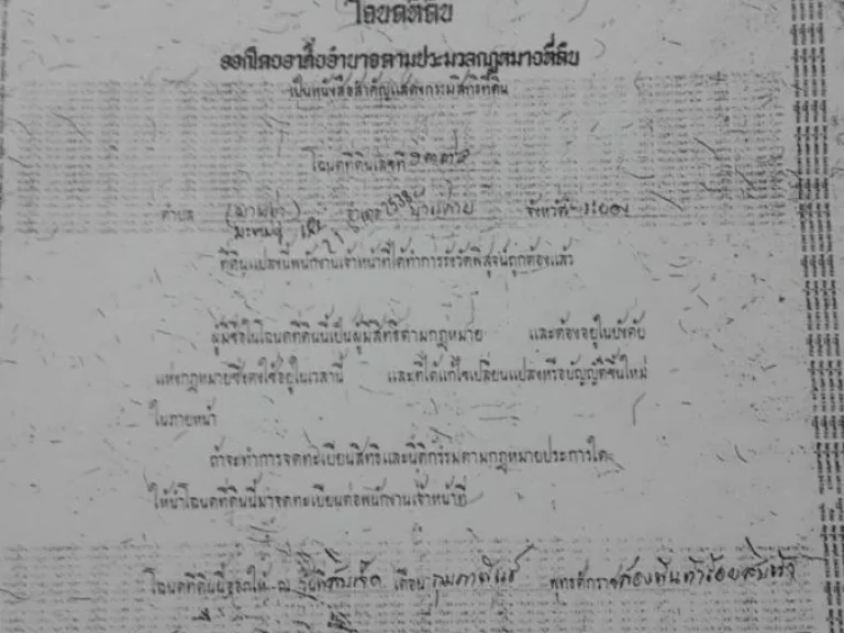 ขายที่ดิน 32 ไร่ ซอย 9 ใกล้ถนนสาย 13 ตำบลมะขามคู่ อำเภอนิคมพัฒนา จังหวัดระยอง