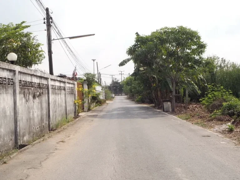 ที่ดิน อยู่ระหว่าง ซคลองสี่ตะวันออก 33-35 ซอยร่วมจิต คลองหลวง ปทุมธานี