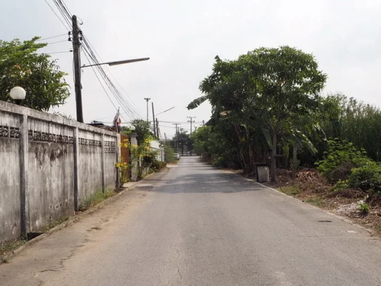 ที่ดิน อยู่ระหว่าง ซคลองสี่ตะวันออก 33-35 ซอยร่วมจิต คลองหลวง ปทุมธานี