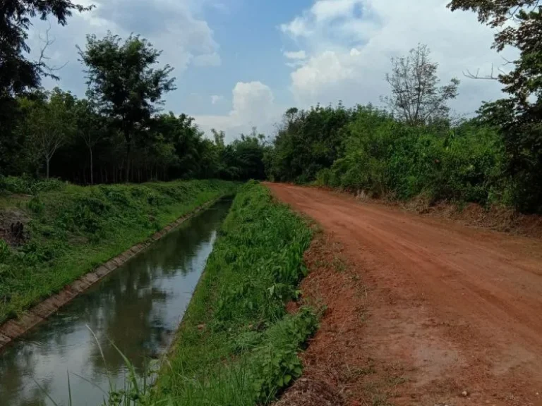 ที่ดิน ไร่ นา สวนผสม ติดคลองชลประทาน นิคมคำสร้อย