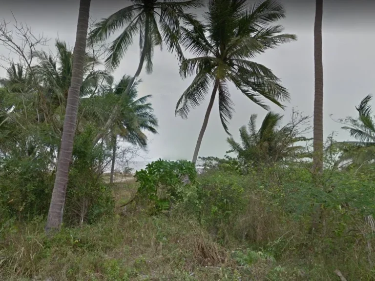 ขายที่ดินหาดบางสัก 58 ไร่ 2 งาน อตะกั่วป่า พังงา Beach Front Land For Sale 58 Rai 2 Ngan Bang Sak Beach Phang nga