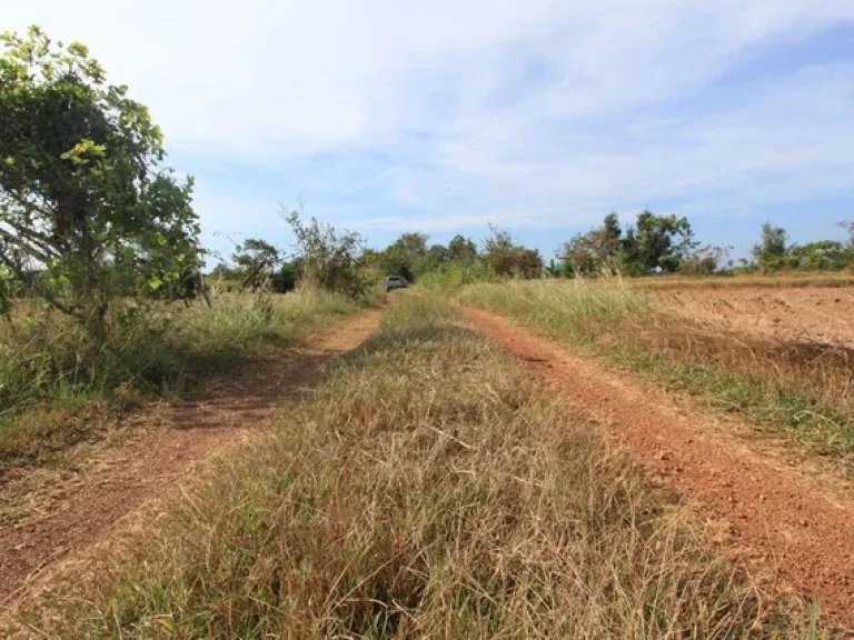 ที่ดินทำหมุ่บ้านจัดสรรค์ วัฒนานคร จสระแก้ว ราคากันเอง สนใจสอบถามได้ครับ