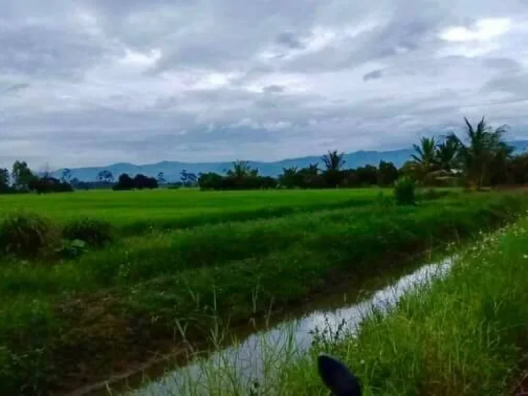 ขายที่นาสันโป่ง วิวสวย 18 ไร่ ที่ดินติดลำเหมืองสามด้าน