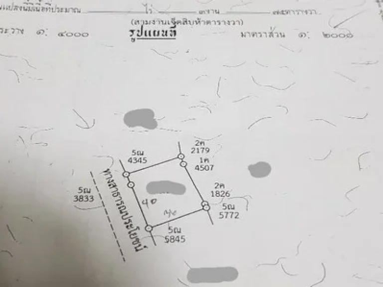 ขายที่ดินเพื่อการค้าการลงทุน เข้าซอยเพียง40เมตร จากถนนเส้นตลาดเท่ง