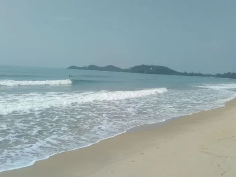 ขายที่ดินบนเนิน หาดบ้านฉาง โฉนด 2707 ตารางวา เหมาะปลูกบ้านพักตากอากาศ