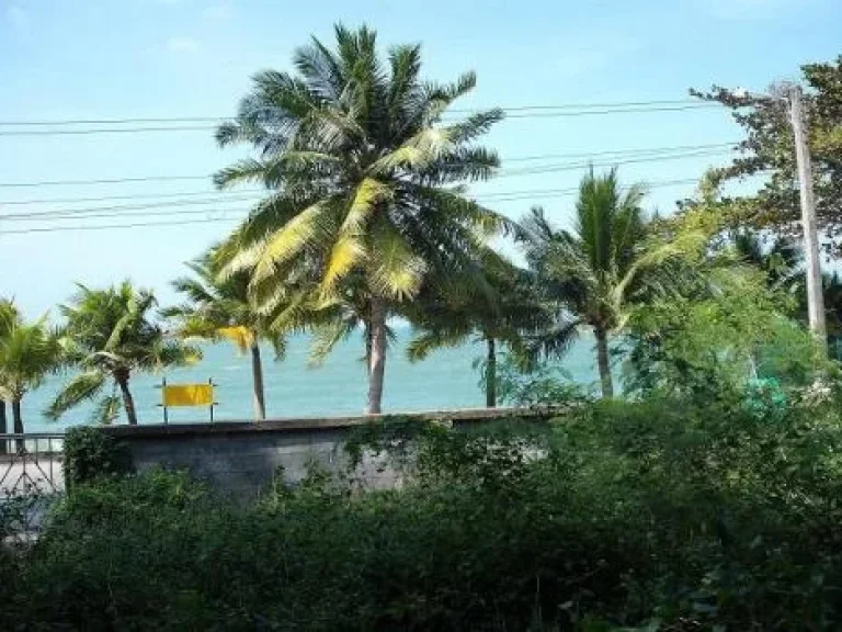 ขายที่ดินเปล่าติดชายหาดบางเสร่ 3 ไร่ ปรับถมแล้ว ถนนเลียบชายหาดบางเสร่ สัตหีบ ชลบุรี