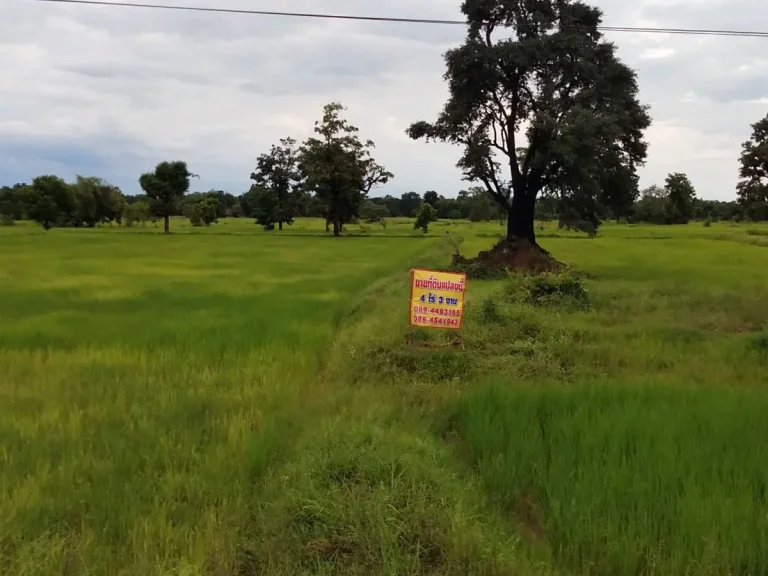 ขายที่ดินวาปีปทุม