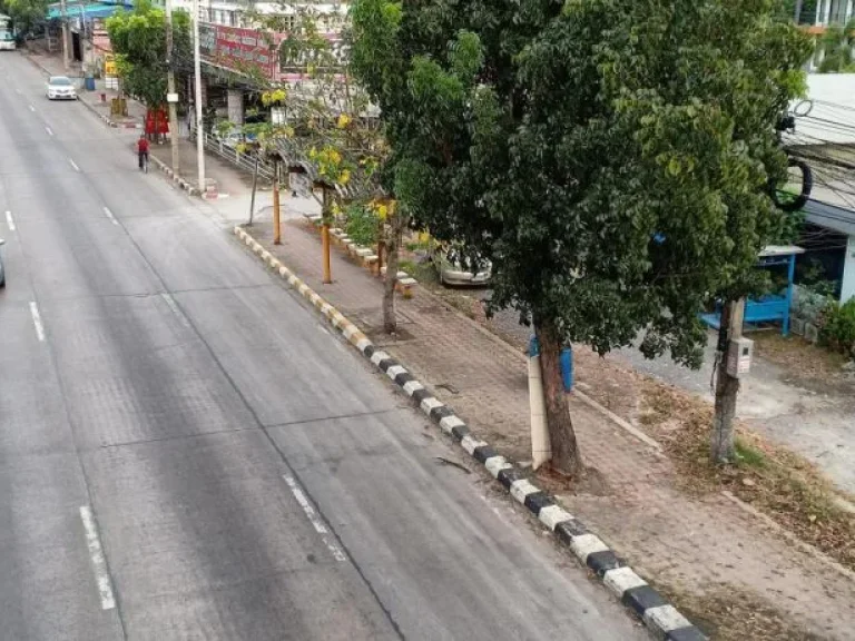 ขายที่ดิน 2 ไร่ ติดถนนลำลูกกา คลองสาม ใกล้สถานีรถไฟฟ้า อลำลูกกา จปทุมธานี์