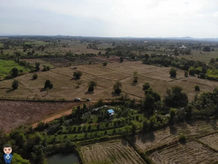 ที่ดินทำหมุ่บ้านจัดสรรค์ วัฒนานคร จังหวัดสระแก้ว ราคากันเอง