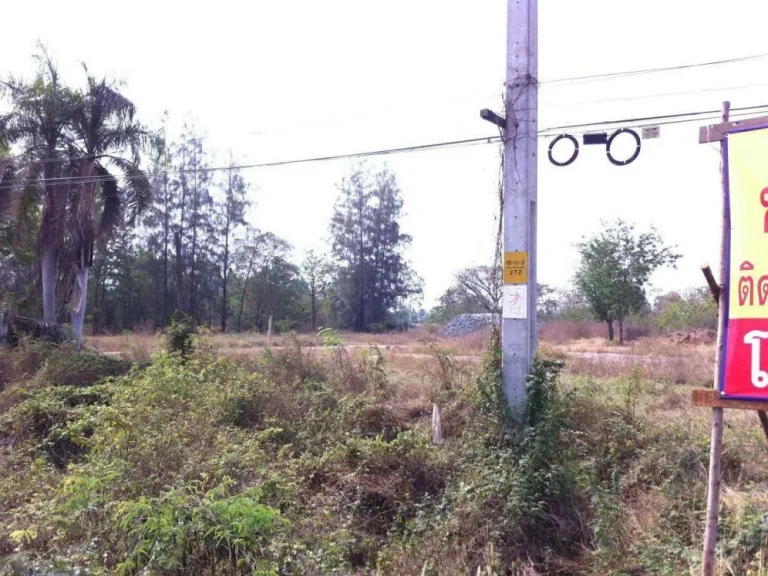 ขายที่ดินพิมาย ติดถนนทางหลวงแผ่นดิน 206 เนื้อที่ 32-1-28 ไร่