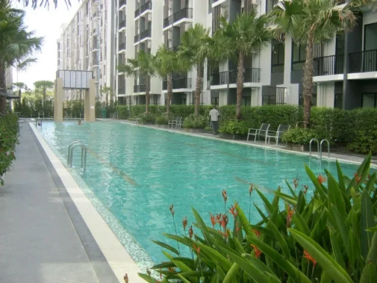 CS-8336 ขายขาดทุนไอ คอนโด สุขุมวิท 105 I Condo Sukhumvit 105 ใกล้รถไฟฟ้า BTS แบริ่ง