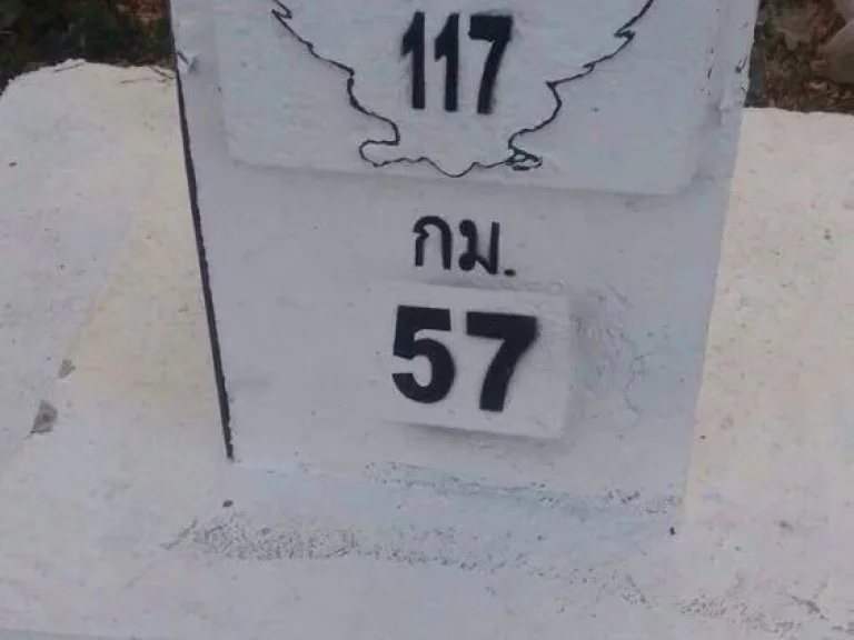 ขายที่ดินติดถนนทางหลวงสาย 117