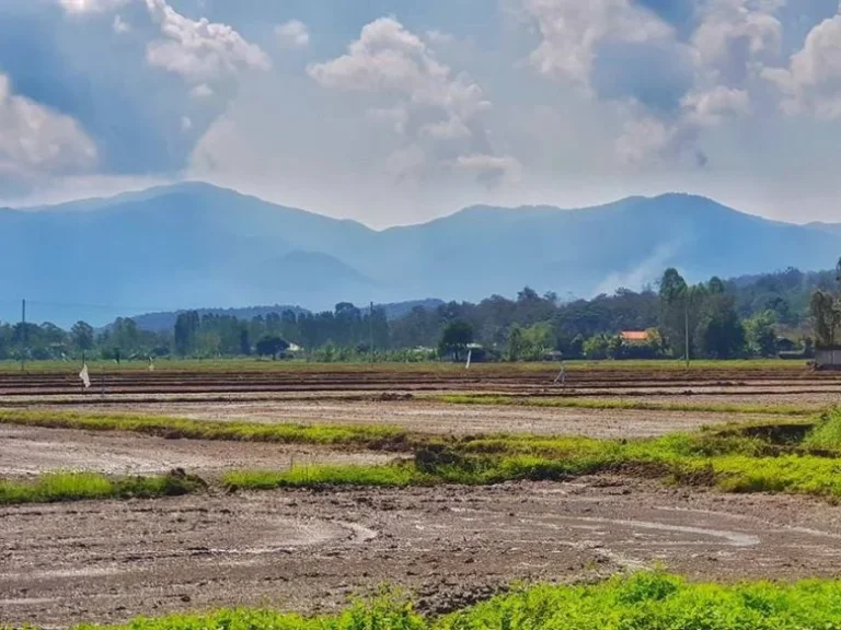 ขายที่ดินแปลงสวย ติดลำคลอง วิวเขา