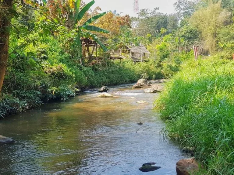 ขายที่ดินติดน้ำตก สายท่องเที่ยว แปลงสุดท้าย