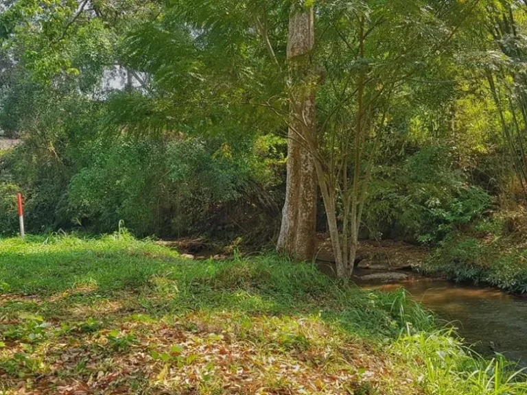 ขายที่ดินติดน้ำตก สายท่องเที่ยว แปลงสุดท้าย