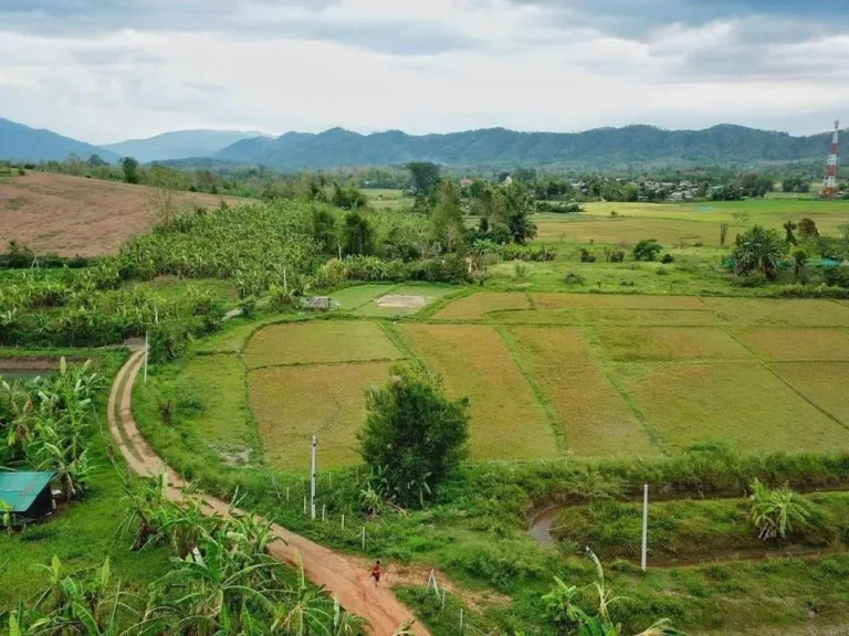 ขายที่ดินปรับแล้ว บรรยากาศดี มีโฉนด มีแบบบ้านBOQพร้อมยื่นกู้