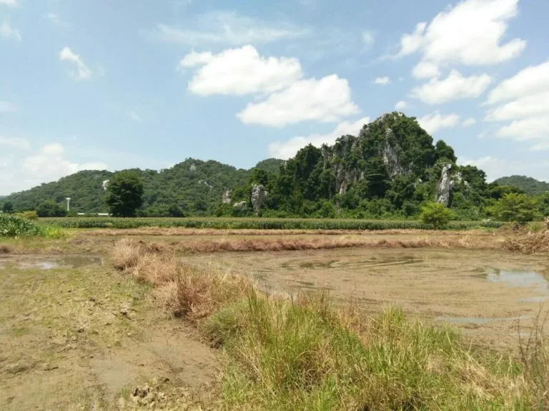 ขายที่ดิน 27 ไร่ หน้าติดถนนหลังติดเขามีน้ำซับตท่าตูม อแก่งคอย จสระบุรีเหมาะสร้างสถานปฏิบัติธรรมทำการเกษตร