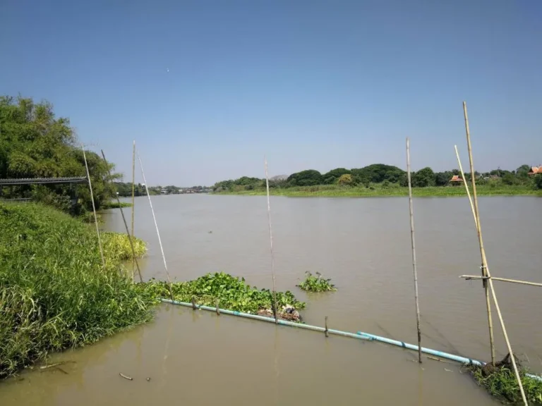 ที่ดินติดแม่น้ำน้อย บางไทร ห่าง มธรรมศาสตร์ 35 นาที