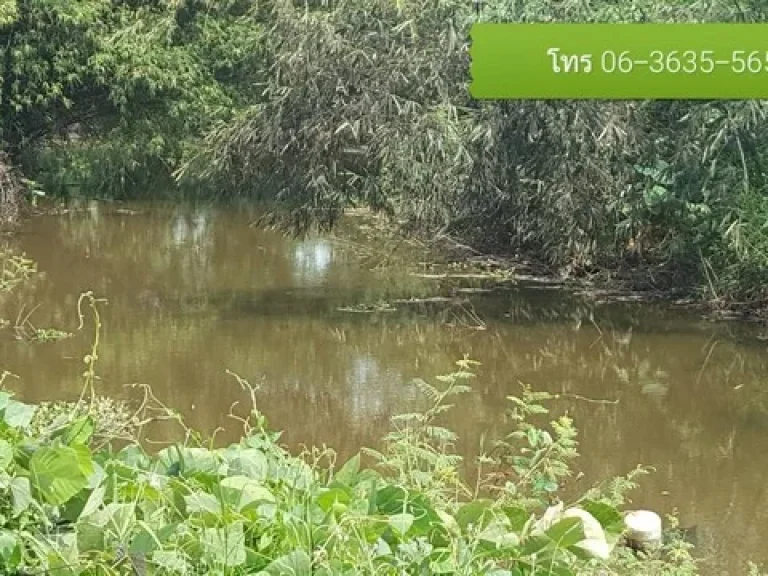 ที่ดินวิวเขาล้อม ติดถนนดำ รูปที่สวย บรรยากาศดี นครนายก