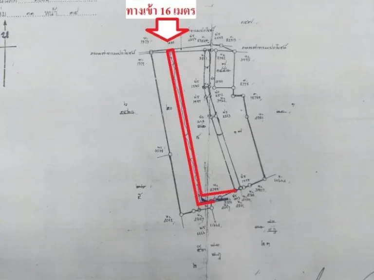 ขายที่ดิน64ไร่ ติดถนนบางบอน5ซอย5 เขตบางบอน กรุงเทพฯ ถนนทางเข้ากว้าง16เมตร ใกล้แนวถนนตัดใหม่เส้นกัลปพฤกษ์-พุทธสาค