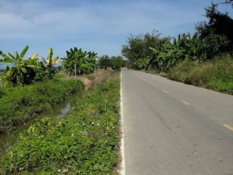 ขายที่ดิน 3 ไร่ ตสันโป่ง อแม่ริม จเชียงใหม่ ดินดี น้ำดี วิวดอย