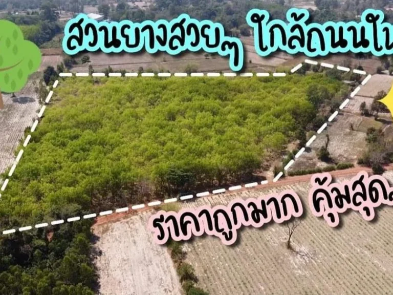 ขายที่ดินสวนยาง 20ไร่ 3งาน 80ตรว ใกล้ถนนวารีราชเดช