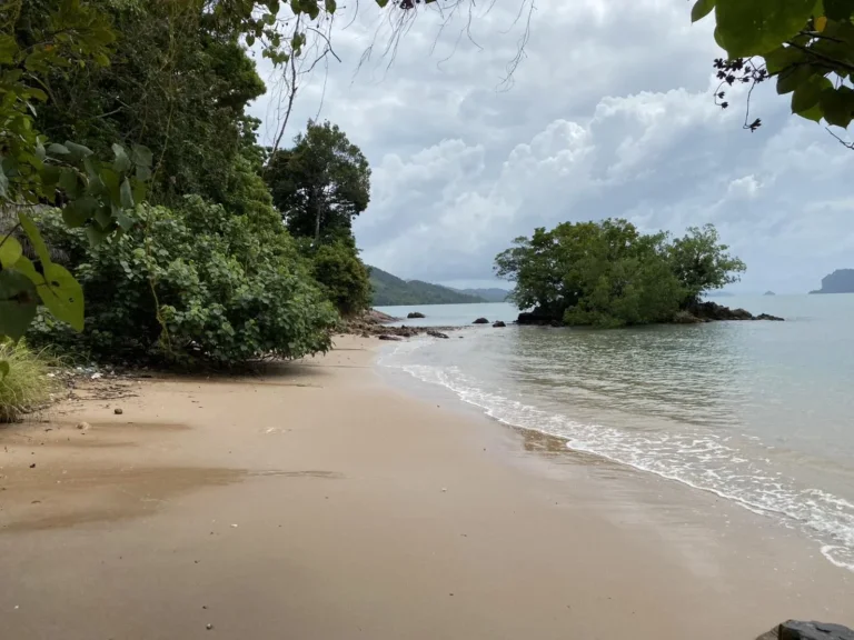 S273 ขายที่ดิน ติดทะเล เนื้อที่ 53 ไร่ พร้อมชายหาดส่วนตัวน้ำทะเลใส หาดทรายขาว น้ำตกธรรมชาติ และแหล่งน้ำจืดส่วนตัว ที่สว