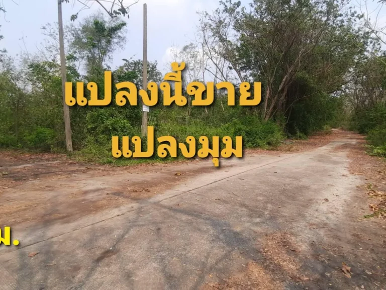 ขายที่เปล่า 139 ตรวธัญบุรี คลอง8