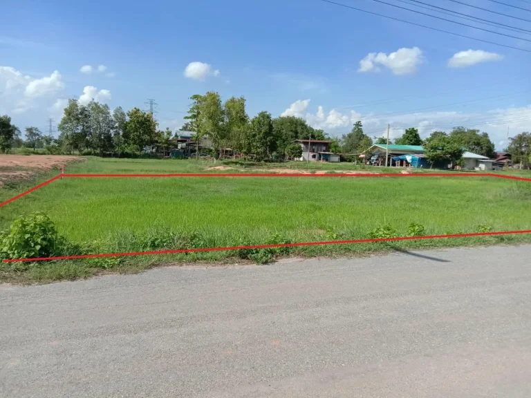 ที่ดิน200 ตรวซอยฝั่งตรงข้ามศูนย์ไปรษณีย์ใหม่พิษณุโลก บ้านบึงถัง