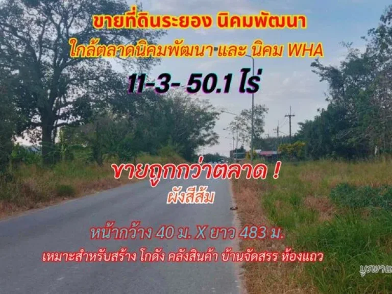 ขายที่ดินระยอง นิคมพัฒนา 11-3-501 ไร่ ใกล้ตลาดนิคมพัฒนา และ