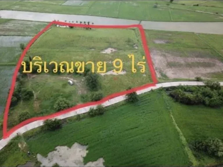 ขายที่ดิน พื้นที่ 9ไร่ อยู่เขตเทศบาล อโนนสูง จนครราชสีมา