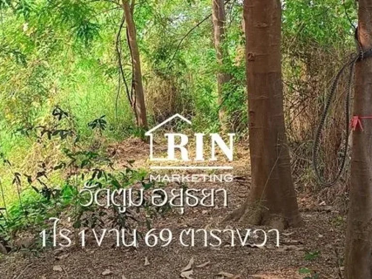 ขายที่ดิน 1 ไร่ 1 งาน 69 ตรว ตำบลวัดตูม อยุธยา