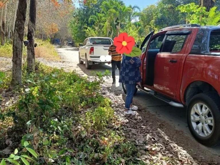 ที่ดินสีเหลือง500ไร่อยู่ตำบลบางบุตร อำเภอบ้านค่าย