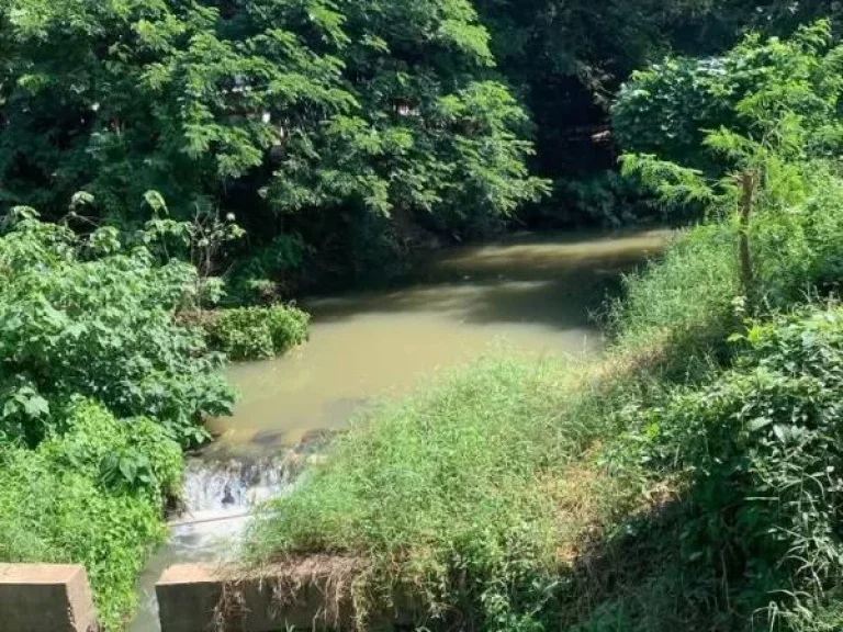 ที่นาแปลงสวย วิวสวย ใกล้ถนนสายหลัก อสูงเม่น แพร่