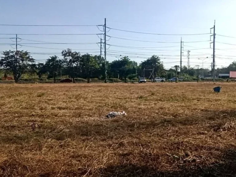 ที่ดินขายถูกมาก ติดถนนใหญ่ เชียงใหม่-ดอยสะเก็ด เชียงใหม่