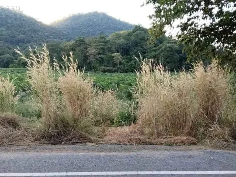 ขายที่ดิน บ้านไร่ อุทัยธานี 50ไร่ ติดภูเขา วิวเขาสวย