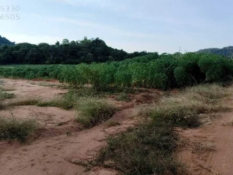 ขายที่ดิน บ้านไร่ อุทัยธานี 50ไร่ ติดภูเขา วิวเขาสวย