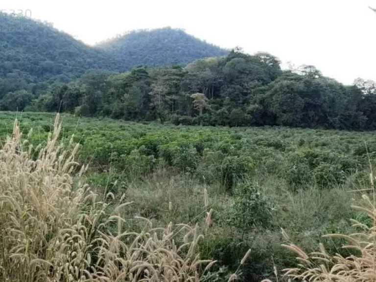 ขายที่ดิน บ้านไร่ อุทัยธานี 50ไร่ ติดภูเขา วิวเขาสวย