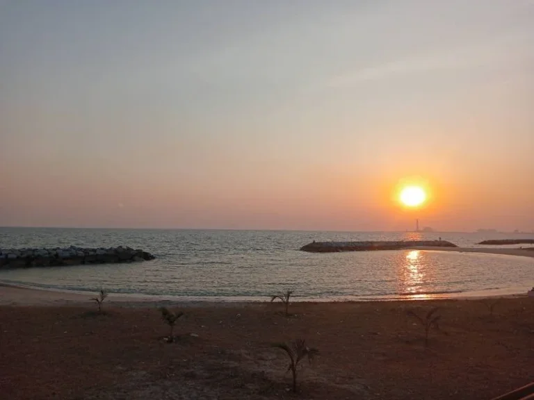 ขายที่ดินระยอง หน้าชายหาดพีเอ็มวาย 3ไร่ ติดหน้าชายหาด