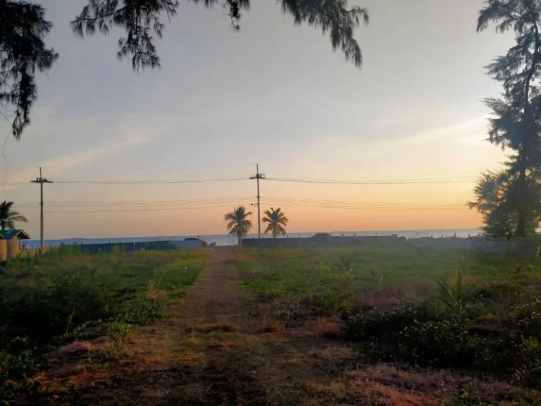 ขายที่ดินระยอง หน้าชายหาดพีเอ็มวาย 3ไร่ ติดหน้าชายหาด