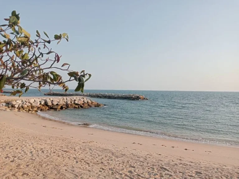 ขายที่ดินระยอง หน้าชายหาดพีเอ็มวาย 3ไร่ ติดหน้าชายหาด