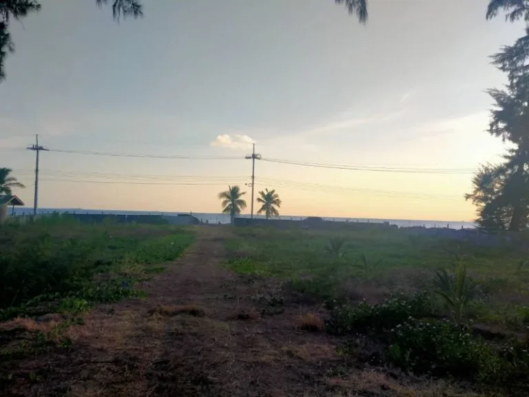 ขายที่ดินระยอง หน้าชายหาดพีเอ็มวาย 3ไร่ ติดหน้าชายหาด