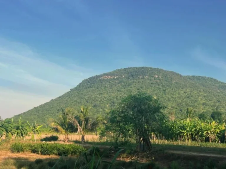 ที่ ดินติดห้วยแม่ประจันต์ ลงเล่นน้ำได้ อยู่ในแหล่งความเจริญ