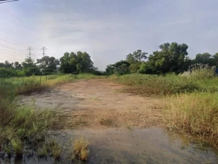 ขายที่ดิน 200 ตรว ลำลูกกา คลอง 8 ปทุมธานี