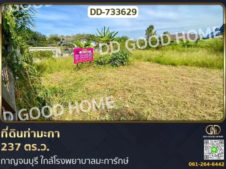 ที่ดินท่ามะกา 237 ตรว กาญจนบุรี ใกล้โรงพยาบาลมะการักษ์