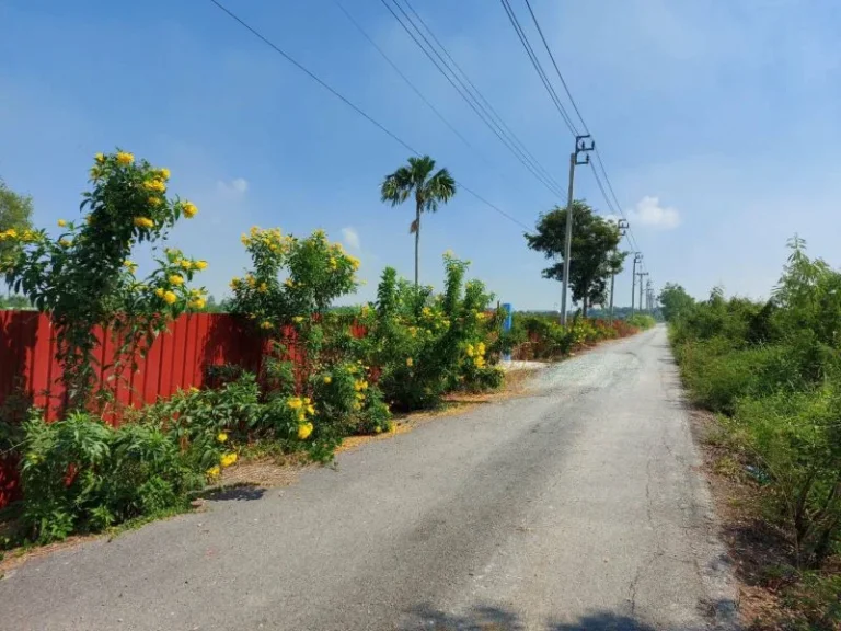 ขายที่ดินถนนไมตรีจิต 5 ไร่ ใกล้ รพคลองสามวา สนนิมิตใหม่