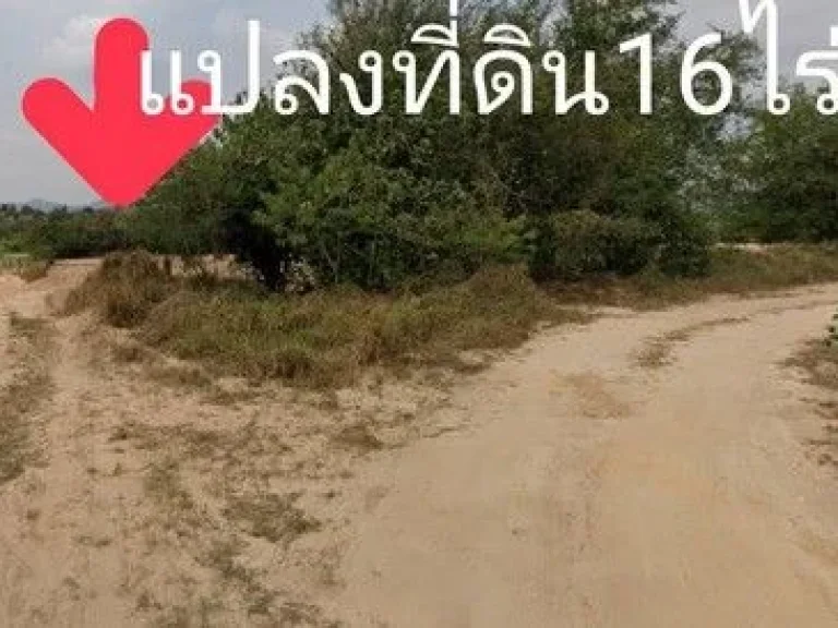 ขายที่ดินม่วงจุดขาว จำนวน 16-0-0 ไร่ มาบยางพร