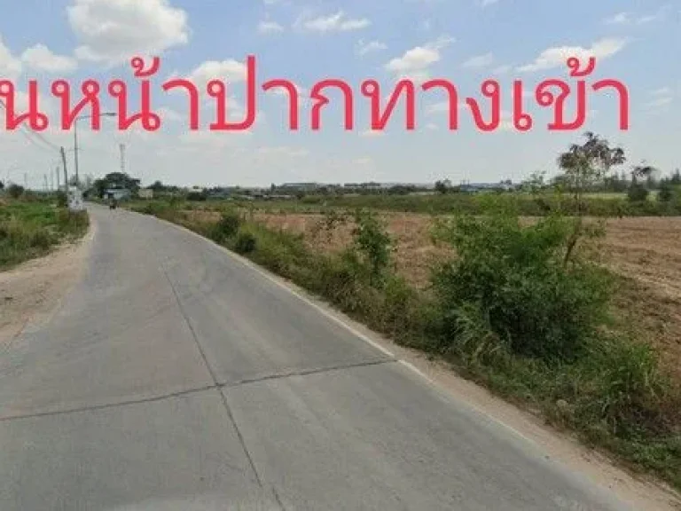 ขายที่ดินม่วงจุดขาว จำนวน 16-0-0 ไร่ มาบยางพร